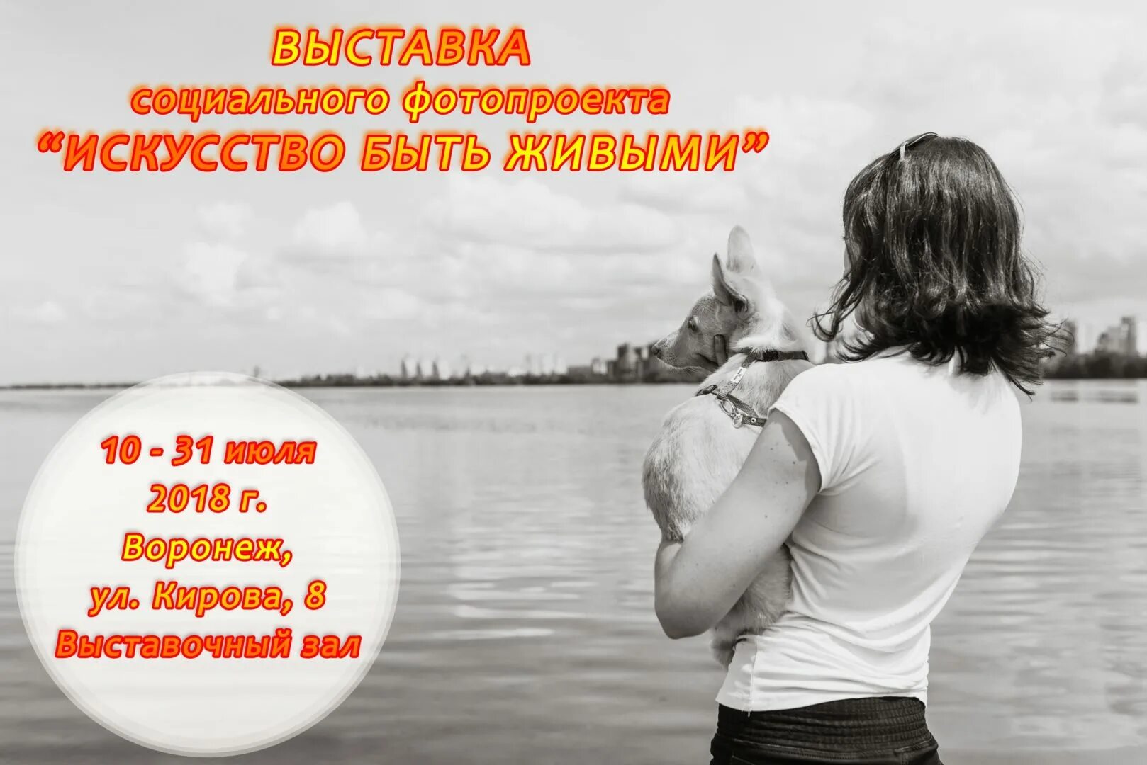 искусство быть друзьями