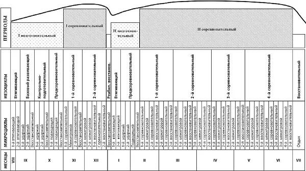 условная схема волн динамики объема нагрузок. построение годичного тренировочного цикла. микроцикл мезоцикл макроцикл. построение спортивной тренировки. построение годичного тренировочного цикла.