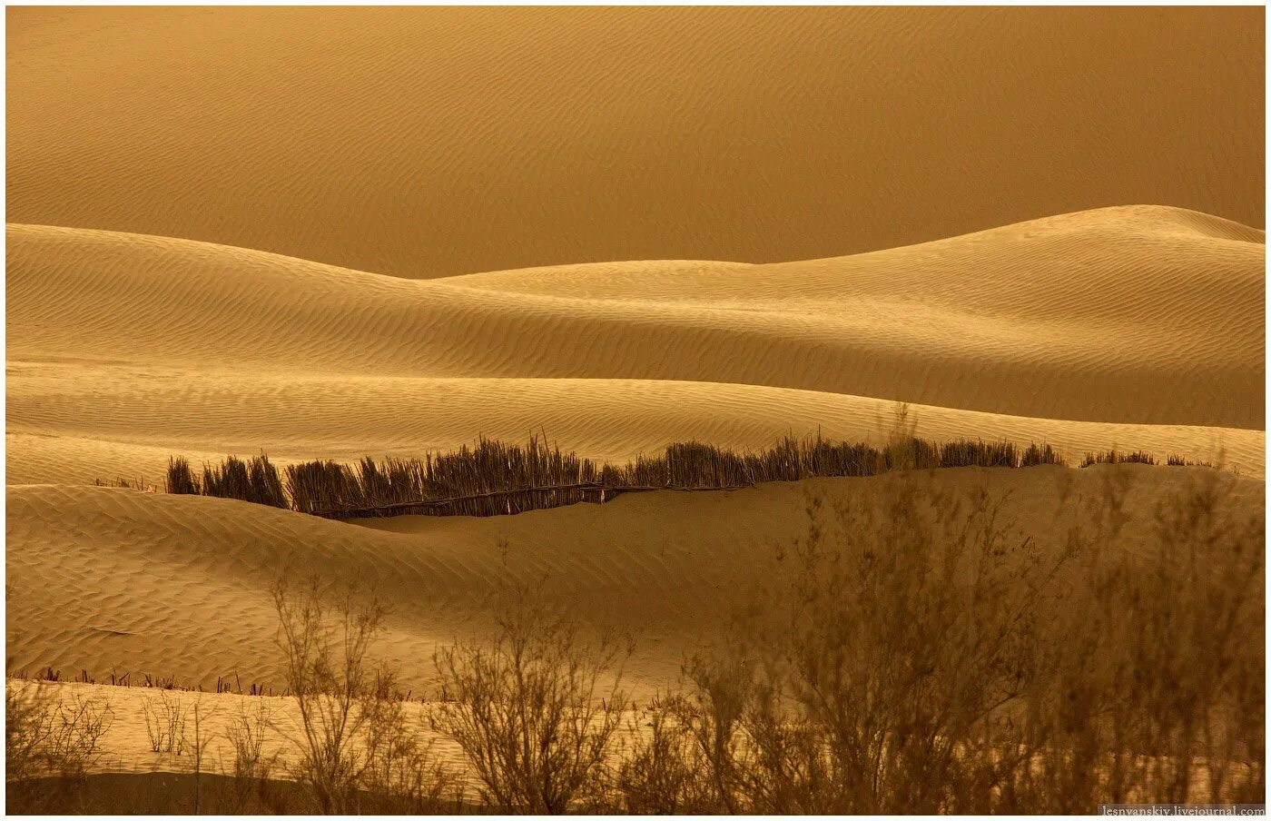 Снежная пустыня такла-макан. Китайская пустыня такла-макан. Пустыня такла макан находится. Пустыня таклама хан. Такла-макан тибет.