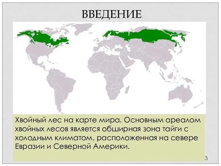 Как меняется характер лесов с севера