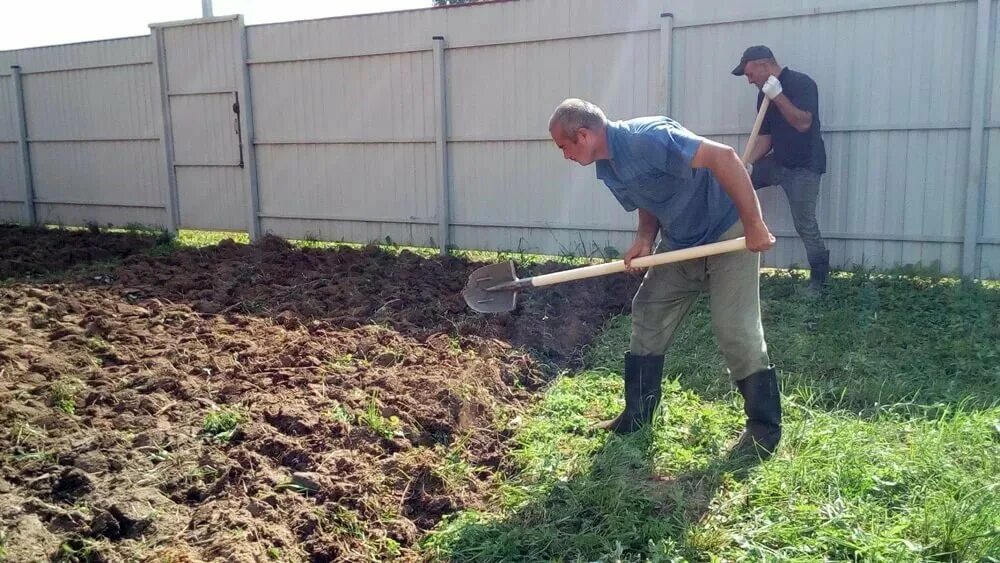 Сколько стоит вскопать сотку земли