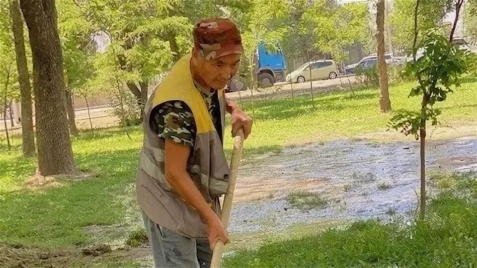 Рубка сруба из бревна. Зачем поливают бревна. Нагель деревянный для бруса. Тащит бревно. Мм ефимовский.