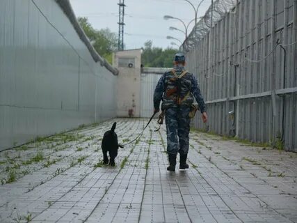 Система охраны исправительного учреждения