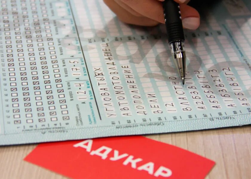 аватарка цт. рикз цэ. рикз цэ. цт 2022. рикз цэ.