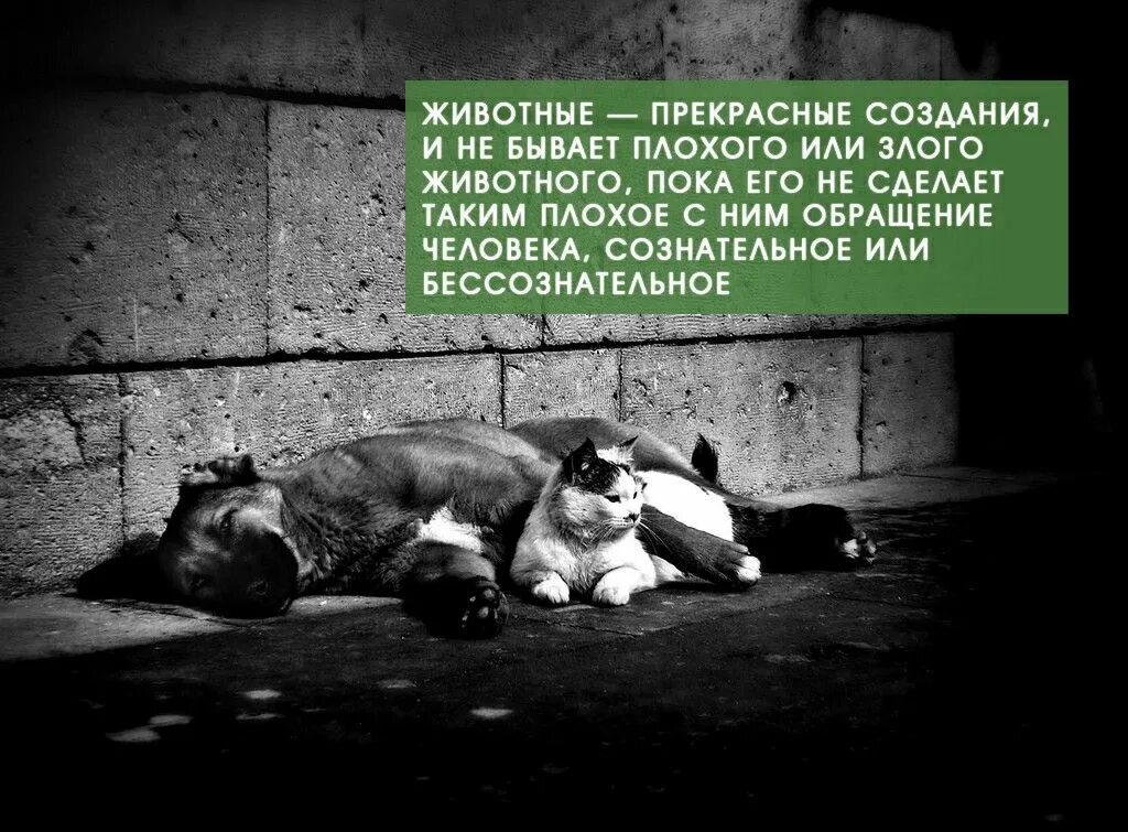У радости всегда друзей полно... - Психология - 2491163 - Tabor.ru