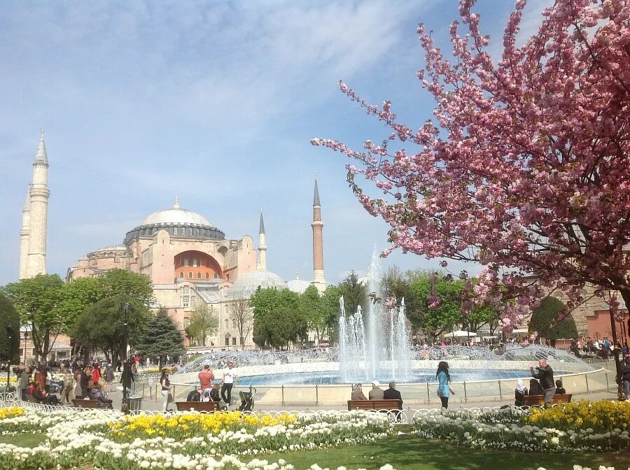 Стамбул Турция в апреле. Стамбул фестиваль тюльпанов Султанахмет. Султанахмет весной.