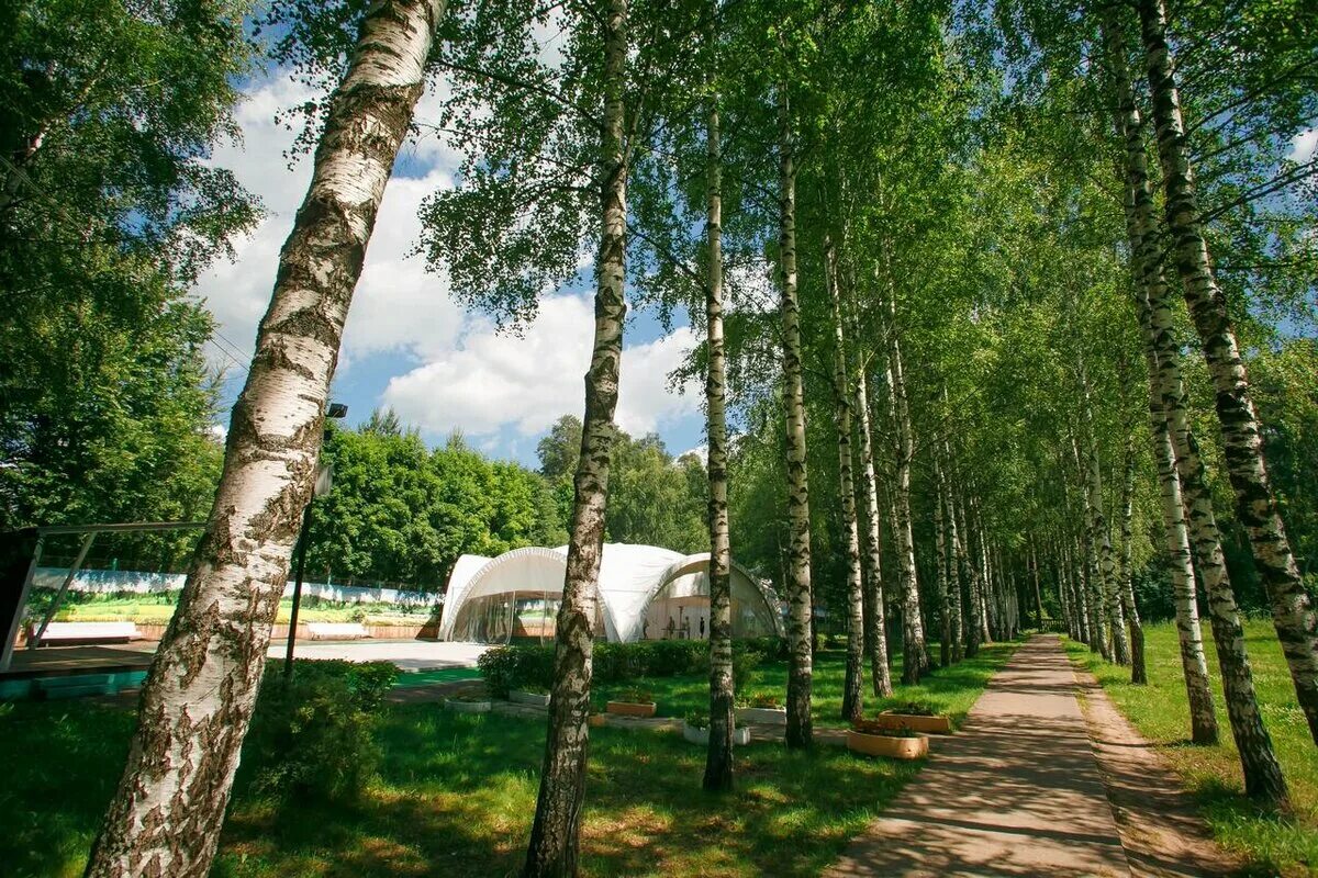 Поселок зеленый городок пушкинский. Санаторий Костино зеленый городок. Зеленый городок Московская область Костино. Зеленый городок Пушкинский район. Костино зеленый городок пляж.