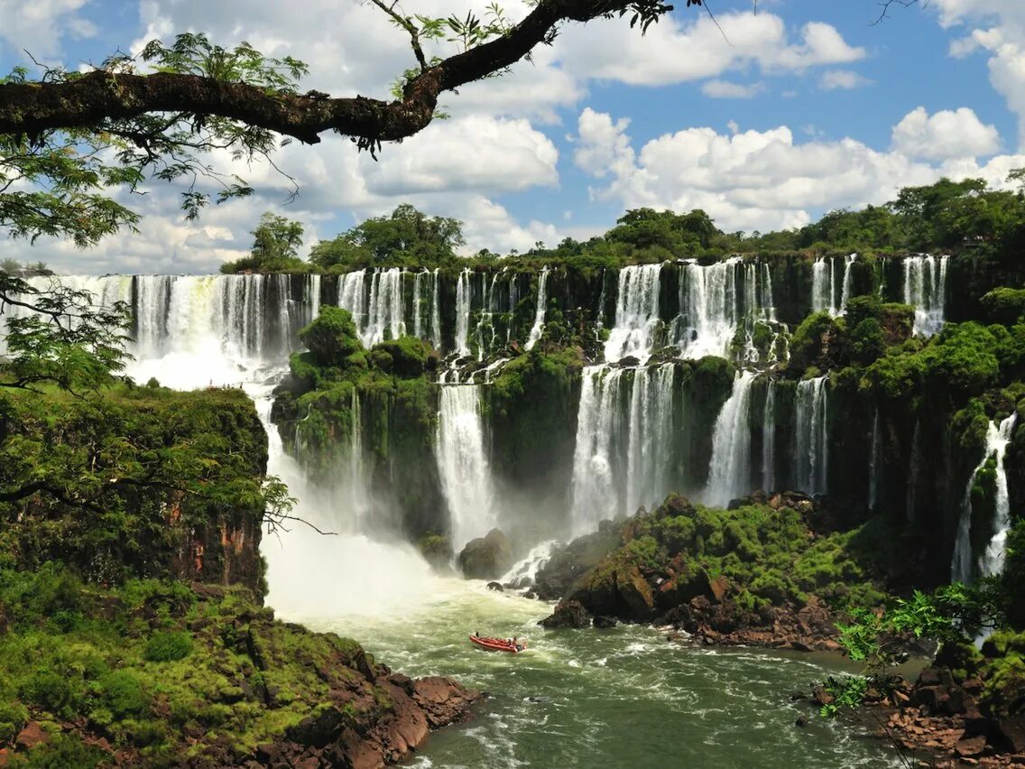 Парк Игуасу, Аргентина/Бразилия. Водопад Игуасу. Водопад Игуасу в Южной Америке. Водопад гуси . Аргентина. Бразилия природный мир