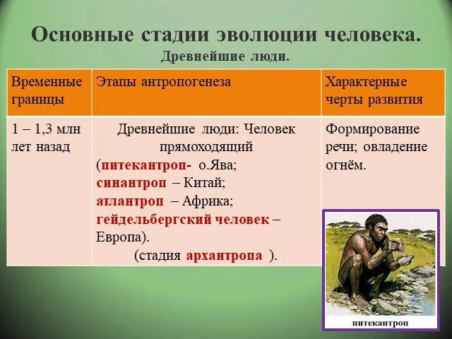 Презентацию по теме эволюция человека. Этапы развития человека. стадии происхождения человека. периоды эволюции человека. ступени развития человечества.