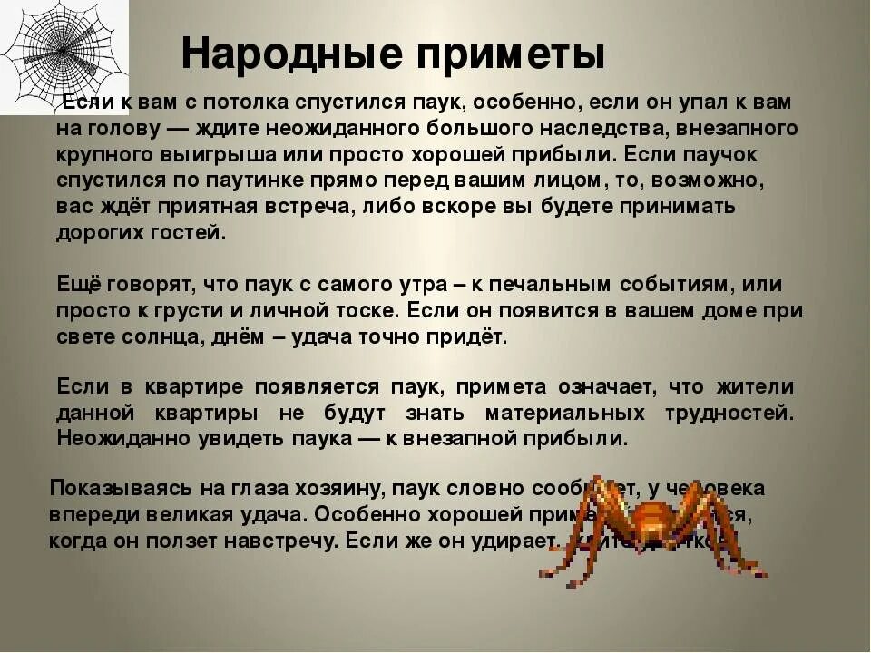 Увидеть ползущего паука. Примета паук спускается. Приметы паукообразных. Примета паук спускается вниз. Паучок примета.