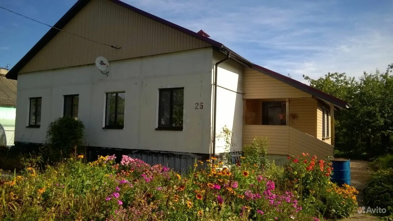 улица дом в починке смоленской области. д. объявления починок смоленская область. город починки смоленская область. деревня починки смоленской области дома.