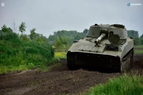 Гвоздики танк