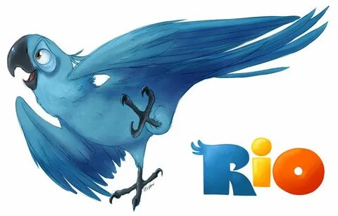 Nicoly rio
