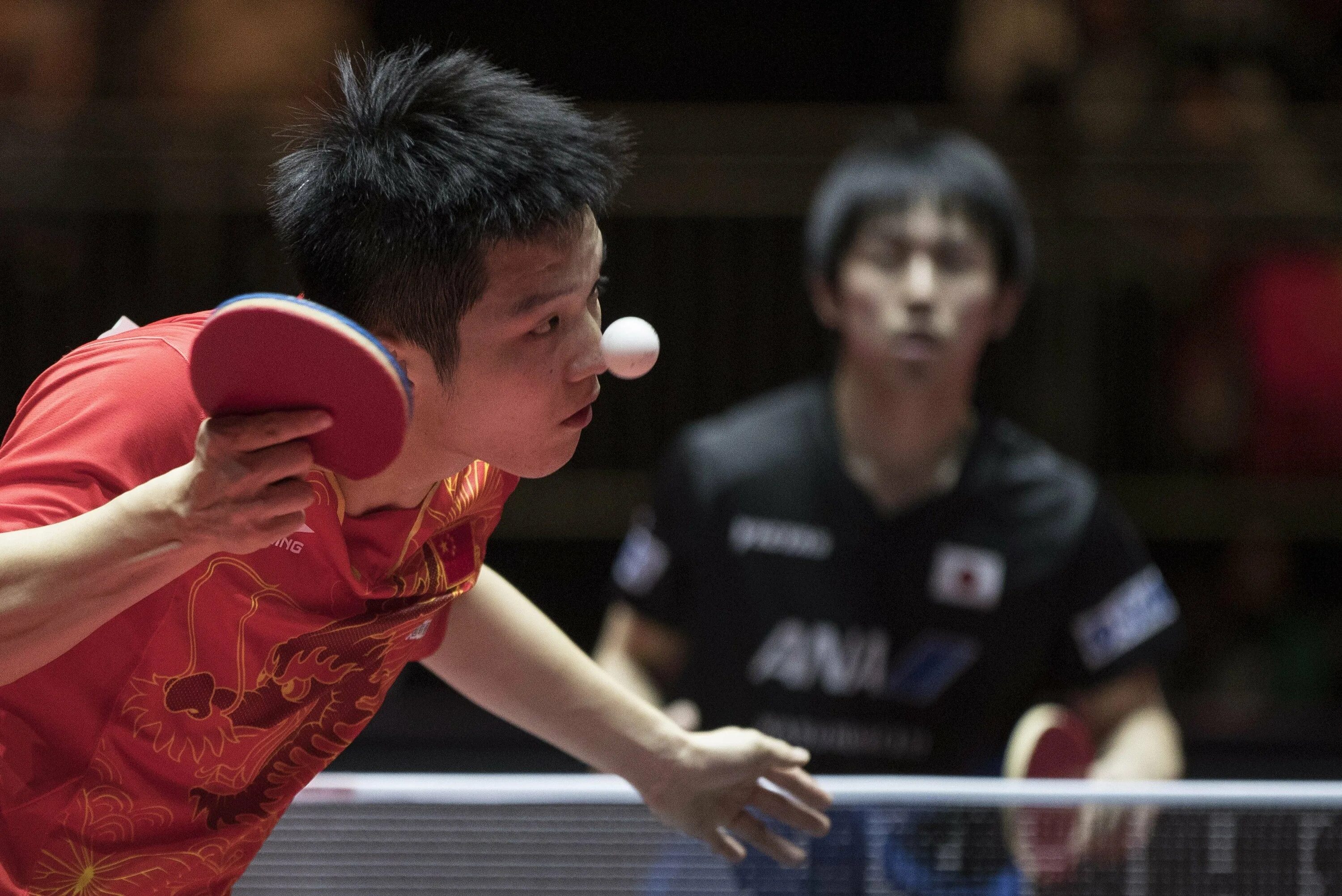 Table Tennis setka Cup. Фан Джен Дон теннис. Настольный теннис сейчас