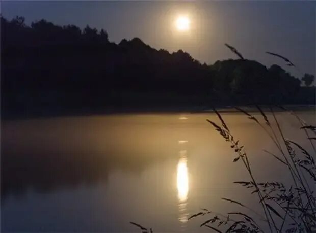 Тихо светит луна на на. Текст песни ночь светла. Ночь светла романс текст. Над рекой тихо светит луна. Озеро ночью.
