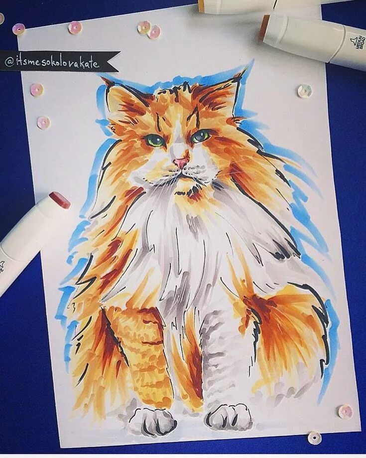 Коты маркерами. Рисунки маркерами. кошка маркерами. животные фломастерами. рисунки животных фломастерами.