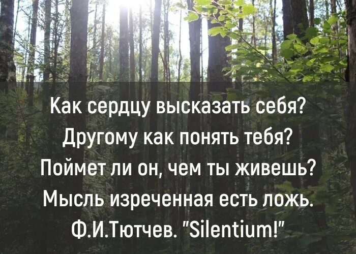 Мудрые мысли. Одиночество женщины. Умные высказывания. Ранимая девушка. Если нужен человек высказывания.
