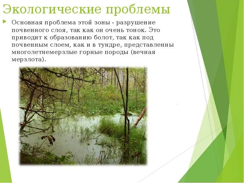 Проблемы в зоне тундры 4 класс. Экология проблемы тундры и лесотундры. экологические проблемы тундры. экологические проблемы лесотундры. эколог проблемы лесотундры.