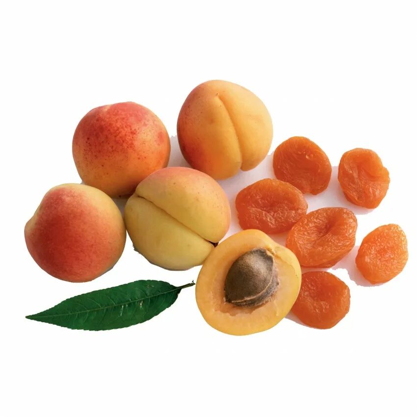 Урюк это сушеный абрикос. Урюк абрикос. Урюк дичка. Урюк это какой фрукт сушеный. Урюк это сушеный абрикос.