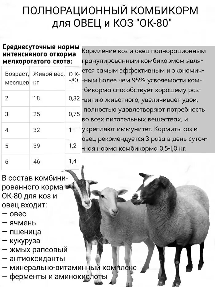 Дают ли молоко козлята. Корм норматив для коз молочных. Нормы кормления козы дойной. Нормы комбикорма для козлят. Козы комбикорм норма.