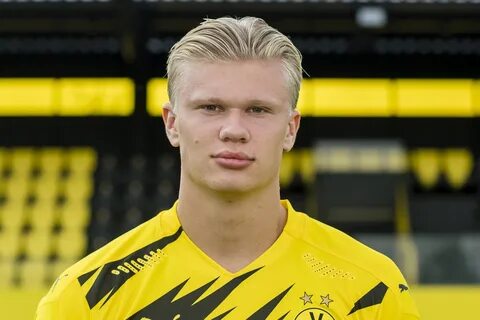 Holland номер