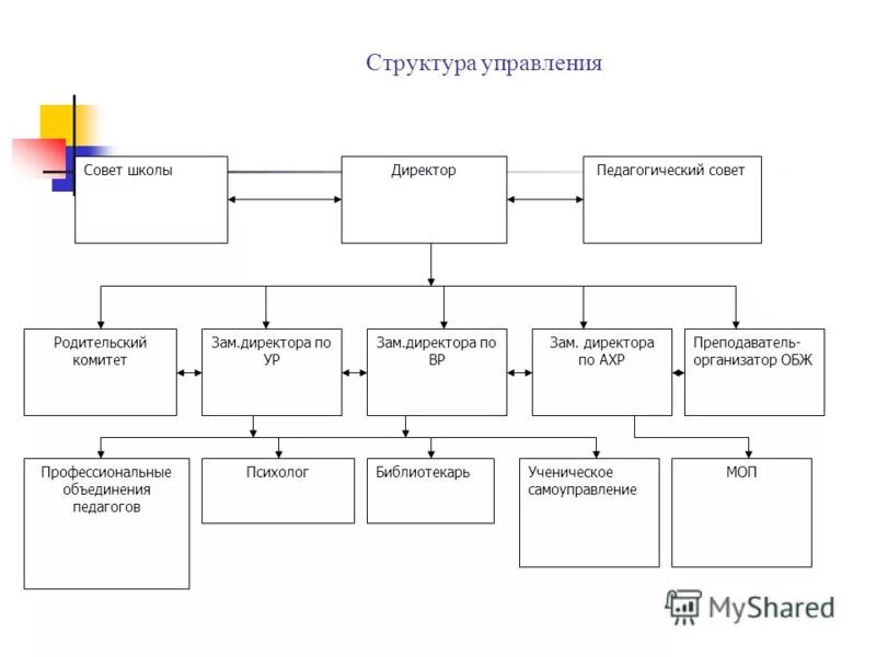 Заместитель директора по спортивной