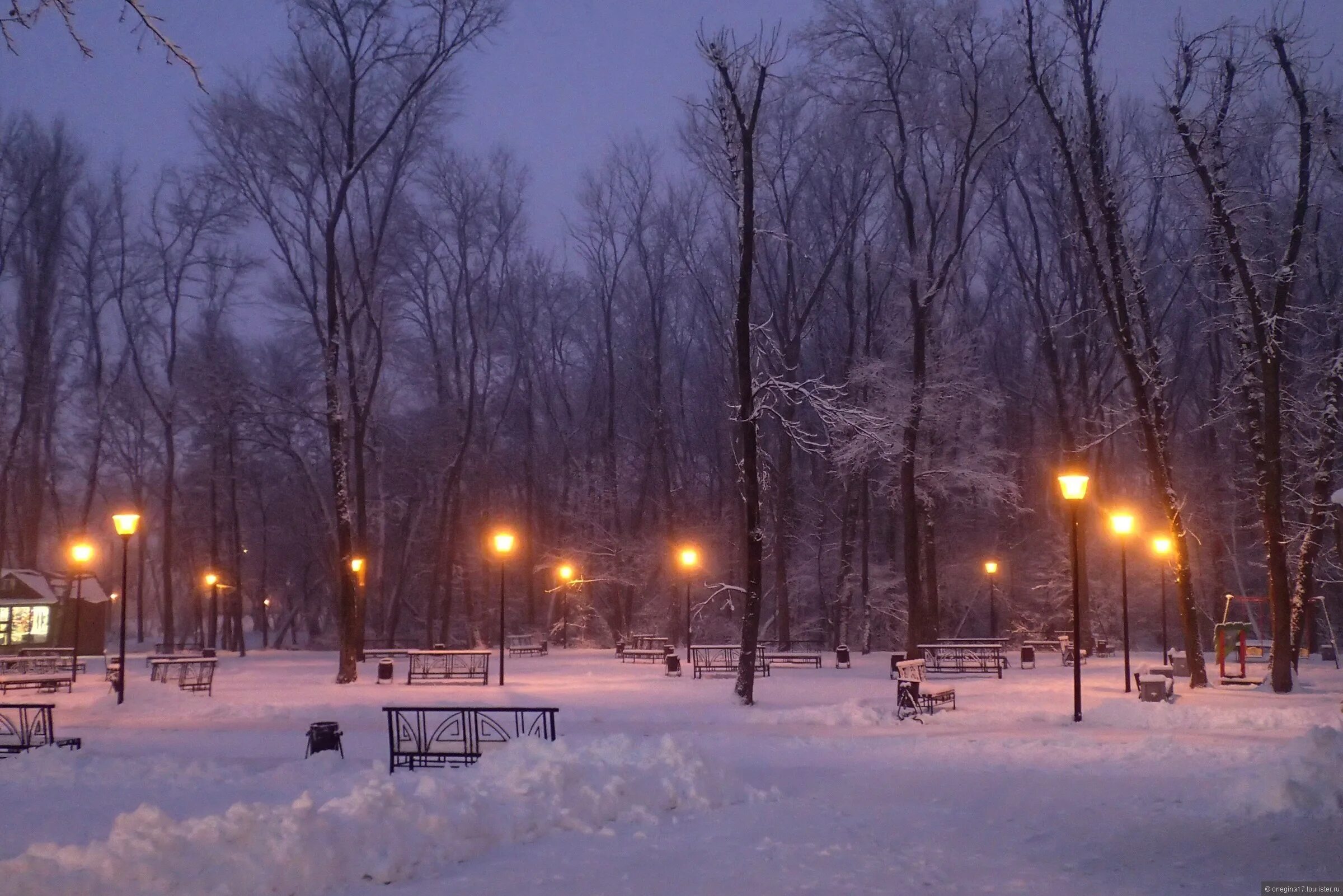 Сильный ветер зима. Воронеж февраль. Улица бульвара победы воронеж вечерний. Воронеж февраль. Ночной воронеж зимой.