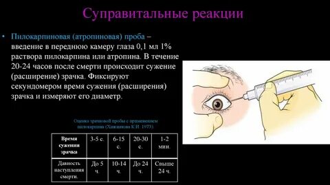 Проба камеры