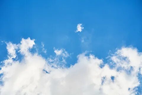 Под белым небом под синим