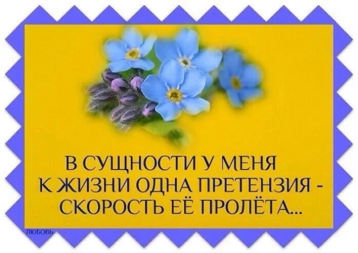 Какая в сущности смешная вышла жизнь. У меня к жизни только одна претензия-скорость ее пролета. в сущности у меня к жизни только одна претензия скорость её. в сущности у меня к жизни одна претензия. в сущности одна претензия к жизни картинка.