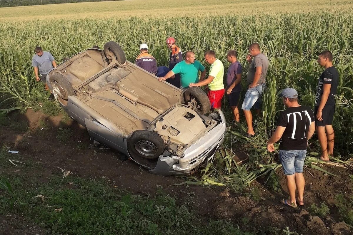 Прогноз погоды в кореновске на 10. Погода в Кореновске. Хутор Бураковский. ДТП В хуторе Верхнем Кореновском районе. Рп5 Кореновск Краснодарский.