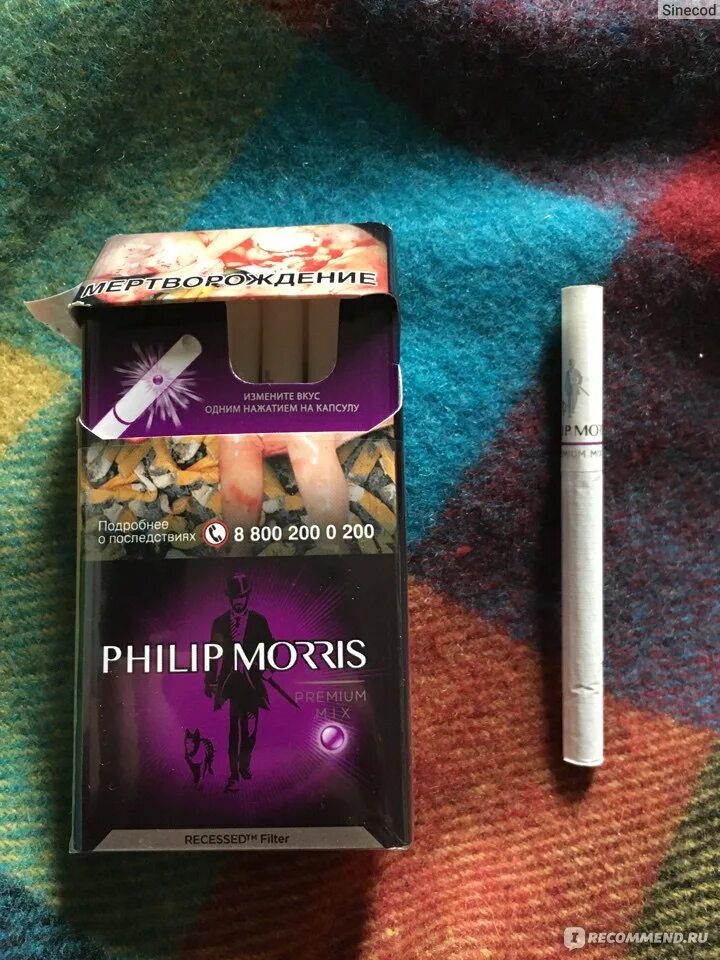 Филип Моррис сигареты с кнопкой вкусы зелёный. Филип Моррис с фиолетовой кнопкой. Сигареты Филип Моррис с кнопкой фиолетовой. Сигареты Филип Моррис премиум микс.