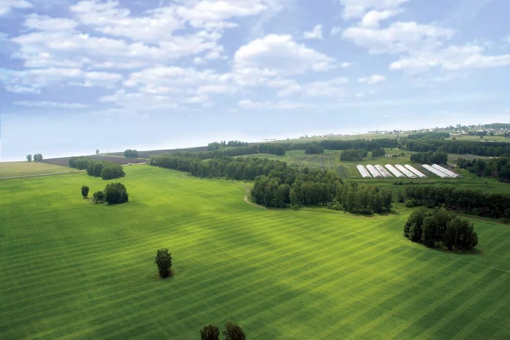 земли поселений сельхозназначения. земли сельскохозяйственного назначения. земли поселений сельхозназначения. сельхоз поля псковской области. можно строить на земле сельхозназначения дом 2022.