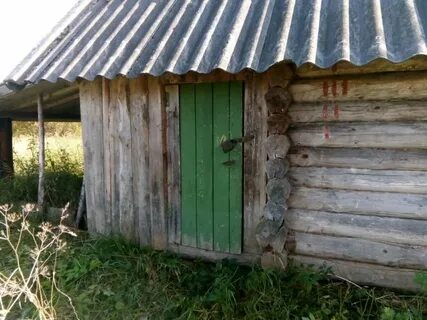 Погода крестцы