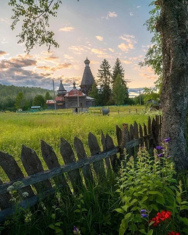 Новая деревня среди столиц 7 букв. Деревня Согиницы Ленинградская область. Деревня летом.