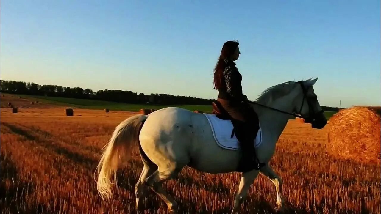 Девушка катается на лошадей. Девушка верхом на лошади. фотосессия верхом на лошади. девушка на коне верхом. лошадь в поле.
