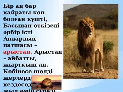 Мені жыныс мүшесінен ара шағып алды