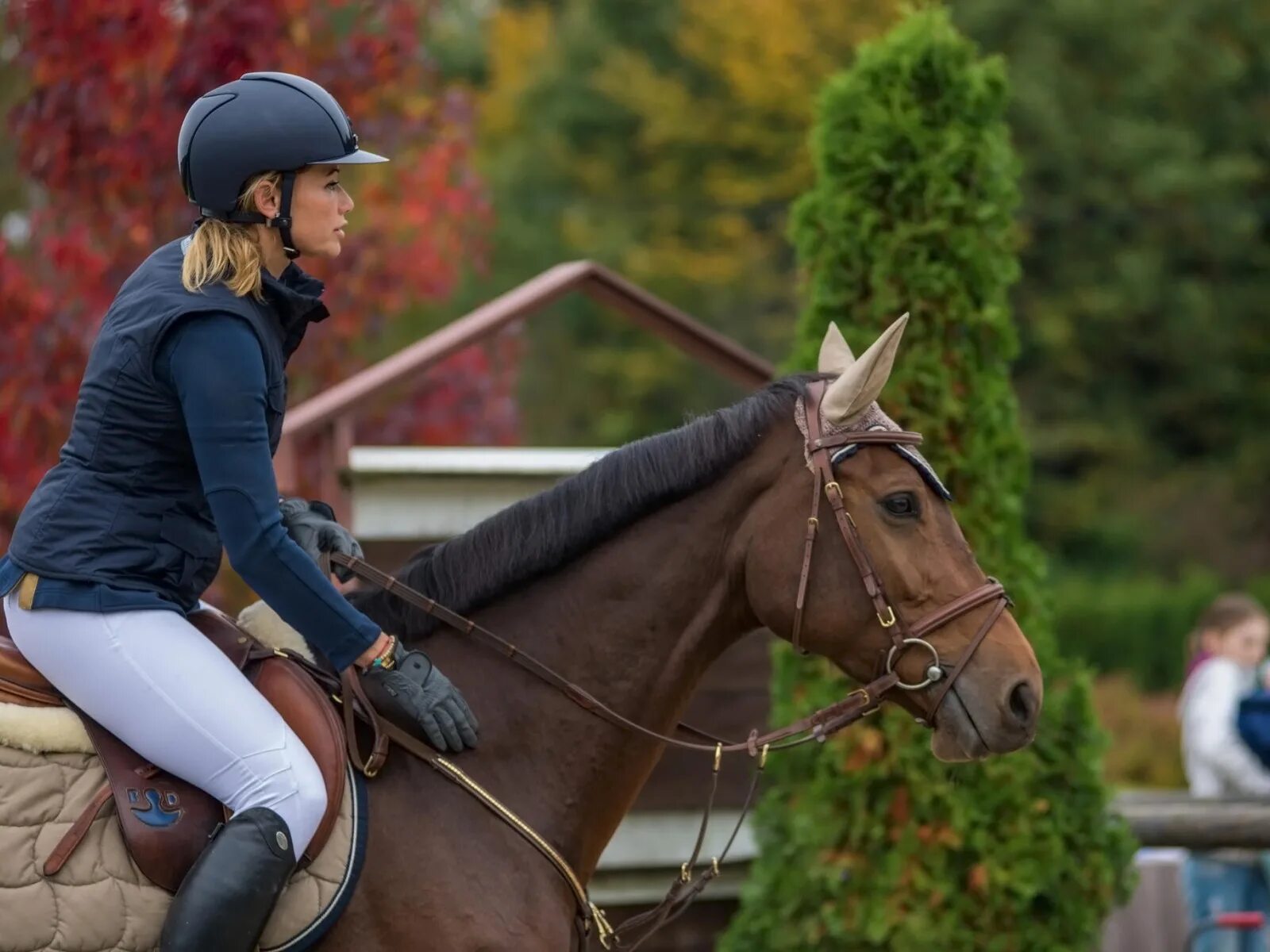 Robert redford interview. Наездница. Bobbees. Мишель робер конкур. Blackmore and sport.