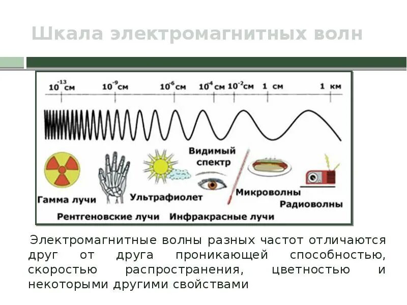 Шкала электромагнитных волн. Проникающая способность электромагнитных волн. Электромагнитные волны разных частот. Электромагнитная шкала. Источники видимых электромагнитных волн