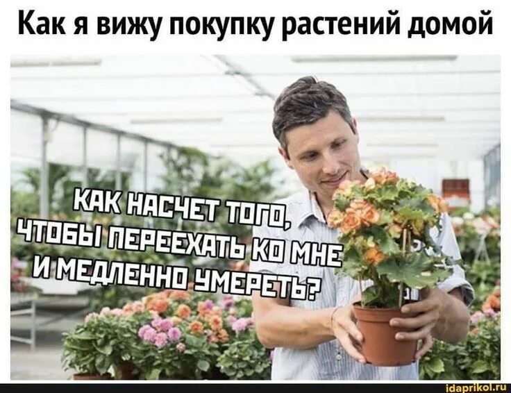 Девушка с букетом живопись. Букет цветов для женщины. Картина букет в руке. Мемы про растения. Я снова с цветами.