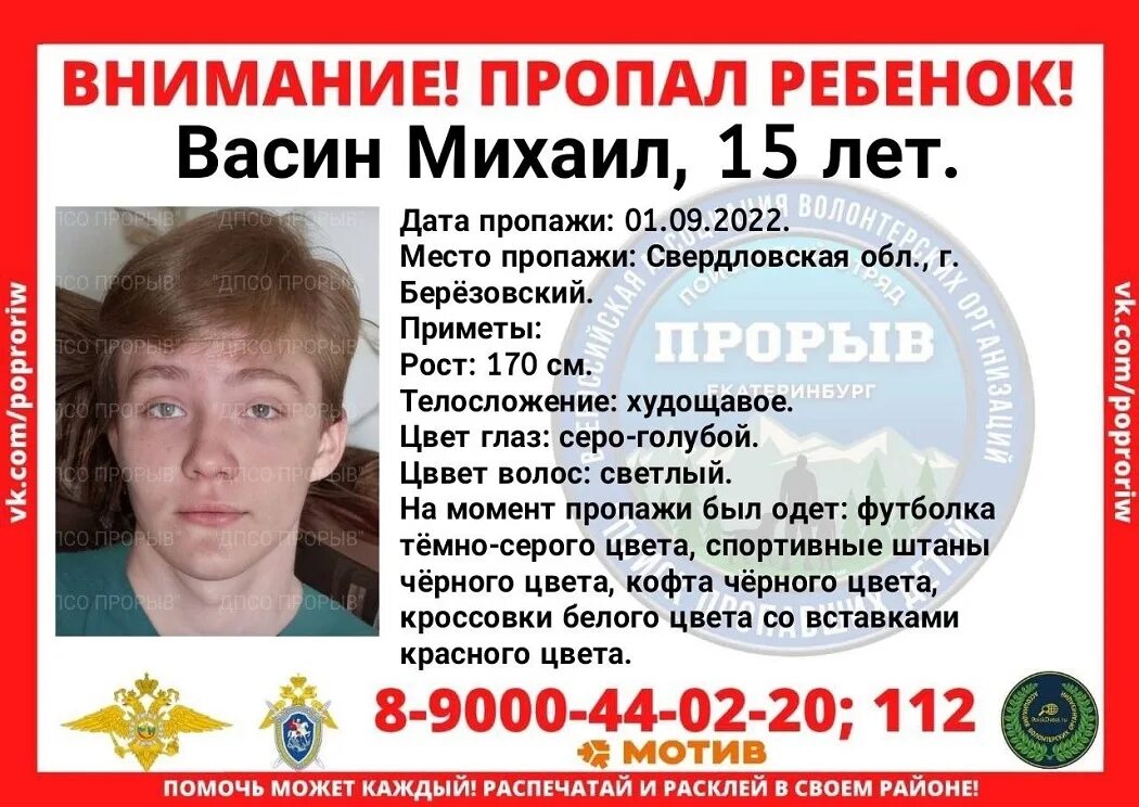 Березовский день города. Карнавал березовский 2008 год. Березовский цветущий город. Дирекция городских праздников березовский. Золотая горка березовский.