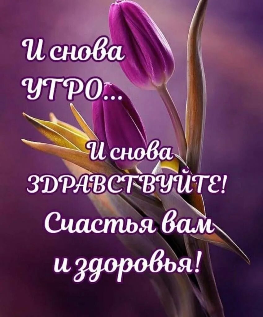 Доброе утро мудрые картинки с надписями. Мудрые пожелания с добрым утром. И снова утро и снова Здравствуйте. Христианские пожелания с добрым утром. Вдохновляющие пожелания.