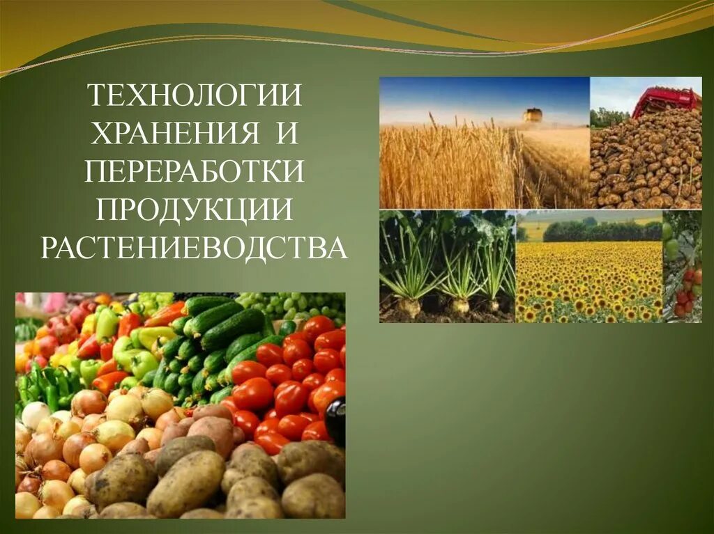 Технологии производства сельскохозяйственной продукции. Сельское хозяйство Растениеводство. Технология хранения и переработки продукции растениеводства. Переработка продукции растениеводства. Технология переработки сельскохозяйственной продукции.