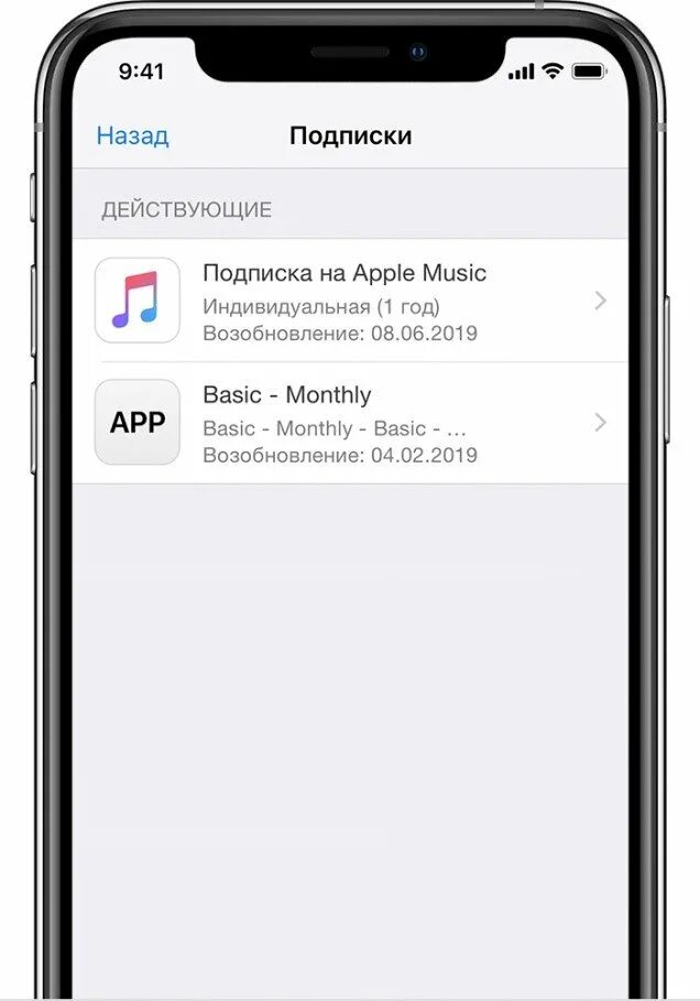 Подписки апл. Подписки apple. подписки в айфоне. платные подписки на айфоне. управление подписками на iphone.