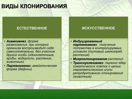 Виды клонирования