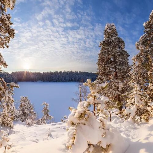Ленинградская область зима фото