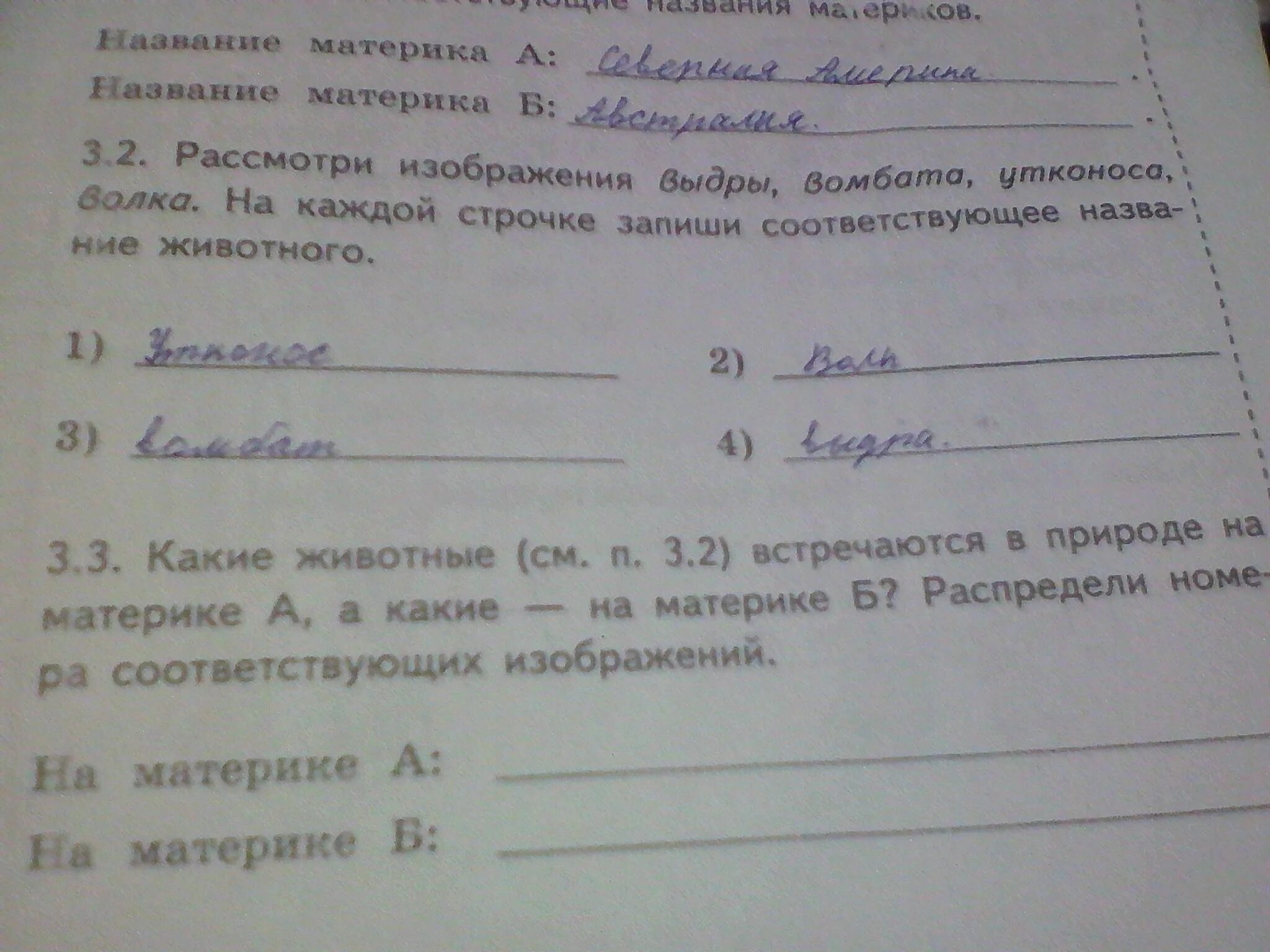 Много ребят увлекаются рыбалкой впр ответы. ВПР по окр ответы. ВПР по окружающему миру 4 класс с ответами. ВПР по окр миру 4 вариант 9 задание. Задачи ВПР по окр миру родственные связи.