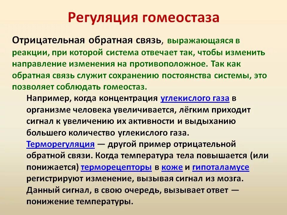 Функция воздействия заключается в. Основные механизмы поддержания гомеостаза. Отрицательная Обратная связь примеры. Гомеостаз Обратная связь. Положительная Обратная связь гомеостаза.