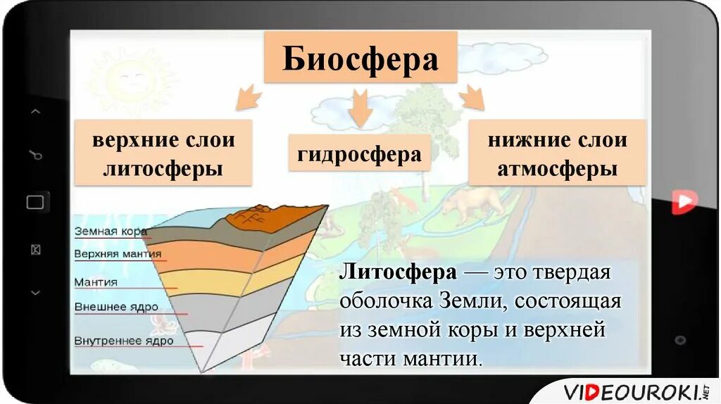 Литосфера видеоурок. Верхняя часть литосферы. литосфера гидросфера атмосфера биосфера. биосфера верхняя часть литосферы. слои литосферы.