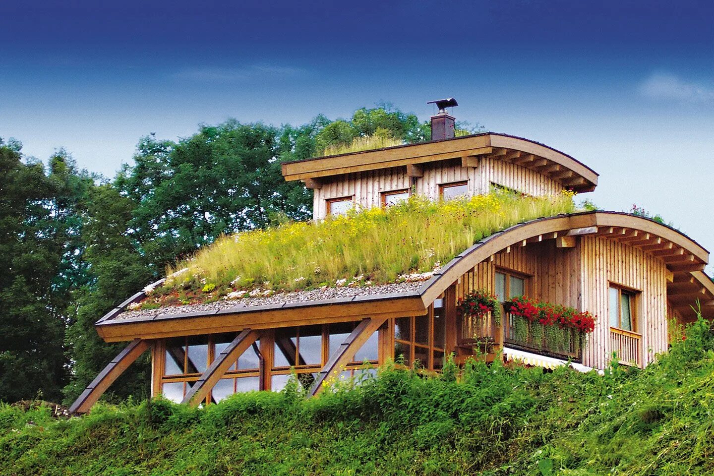 Земляная крыша. Домик с травяной крышей. Необычные крыши. Дом с травяной кровлей. Травяная крыша.